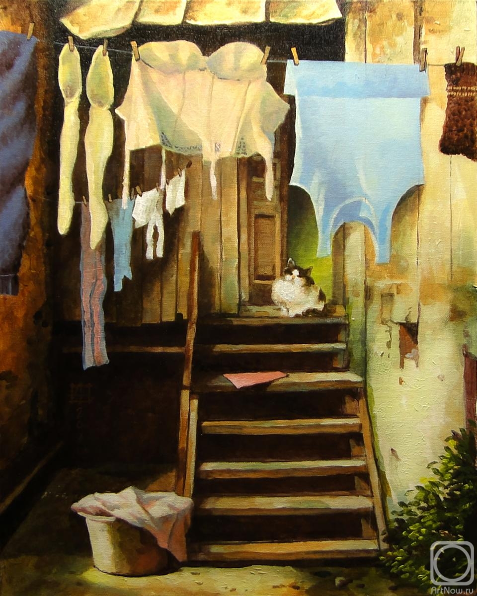 Andrianov Andrey. The laundress does the laundry all day