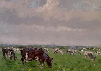Autumn study with a collective farm herd