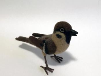 Sparrow. Belova Asya