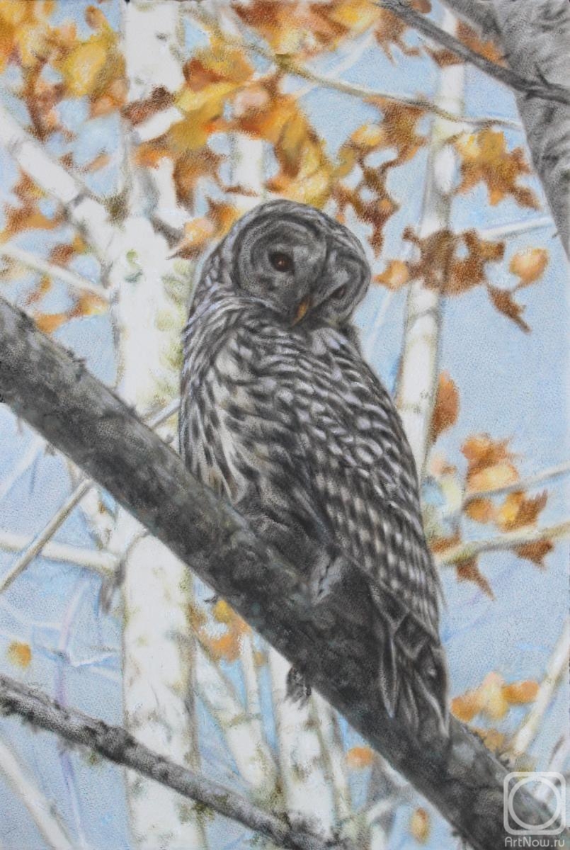 Картина. Дейнега Татьяна. Ястребиная Сова
