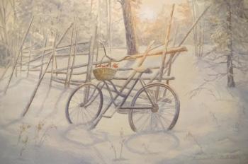 Snow-covered bike