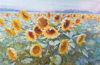 Sunflowers. Komarov Nickolay