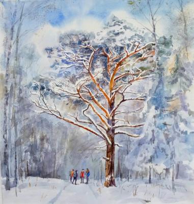Pine tree in the snow. Yudina Ekaterina