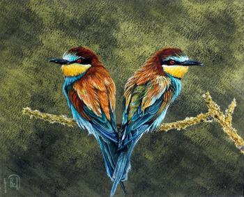 A pair of golden bee-eaters. Kabylina Darya