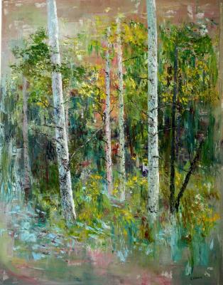 Birches in the forest