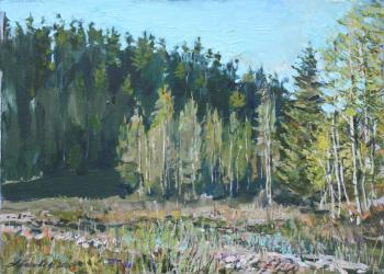 At The Forest Edge. Kurkijoki. Belevich Andrei