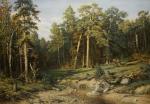 Aleksandrov Vladimir. A copy of the painting. Ivan Shishkin. Mast forest in Vyatka province