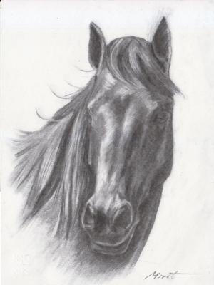 Horse 2. Urazayev Mirat
