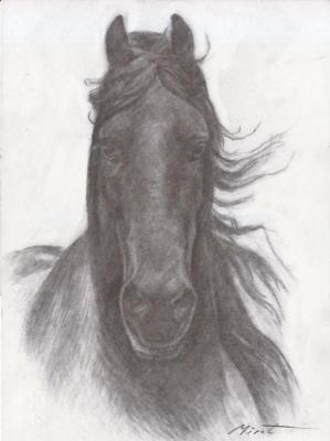 Horse 3. Urazayev Mirat