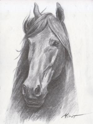 Horse 4. Urazayev Mirat
