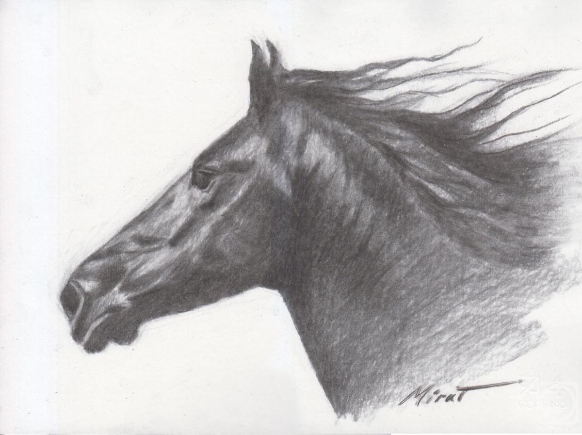 Urazayev Mirat. Horse 5