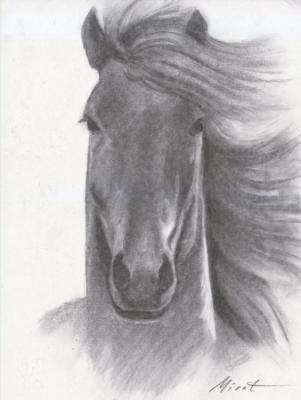 Horse 6. Urazayev Mirat