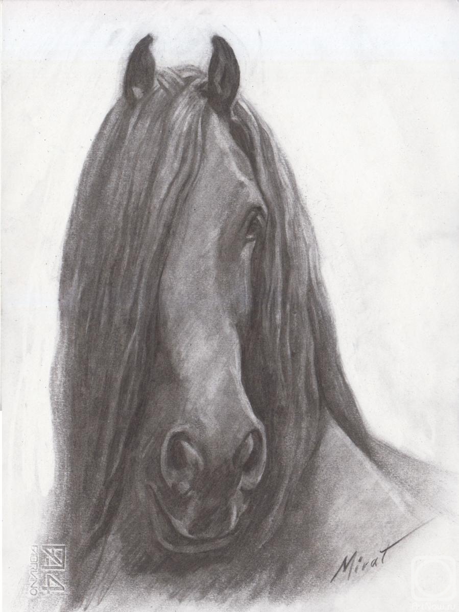 Urazayev Mirat. Horse 7