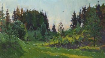 Spruce forest. Evening. Zhilov Andrey