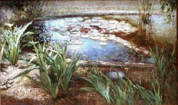 Pond with lilies