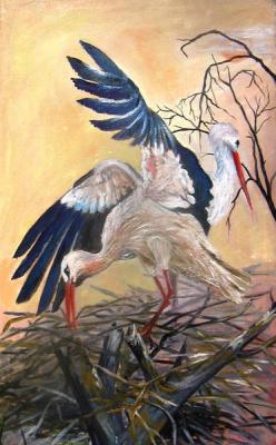 Stork, storks. Peschanaia Olga