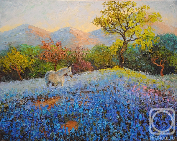    . - . White horse and bluebonnets