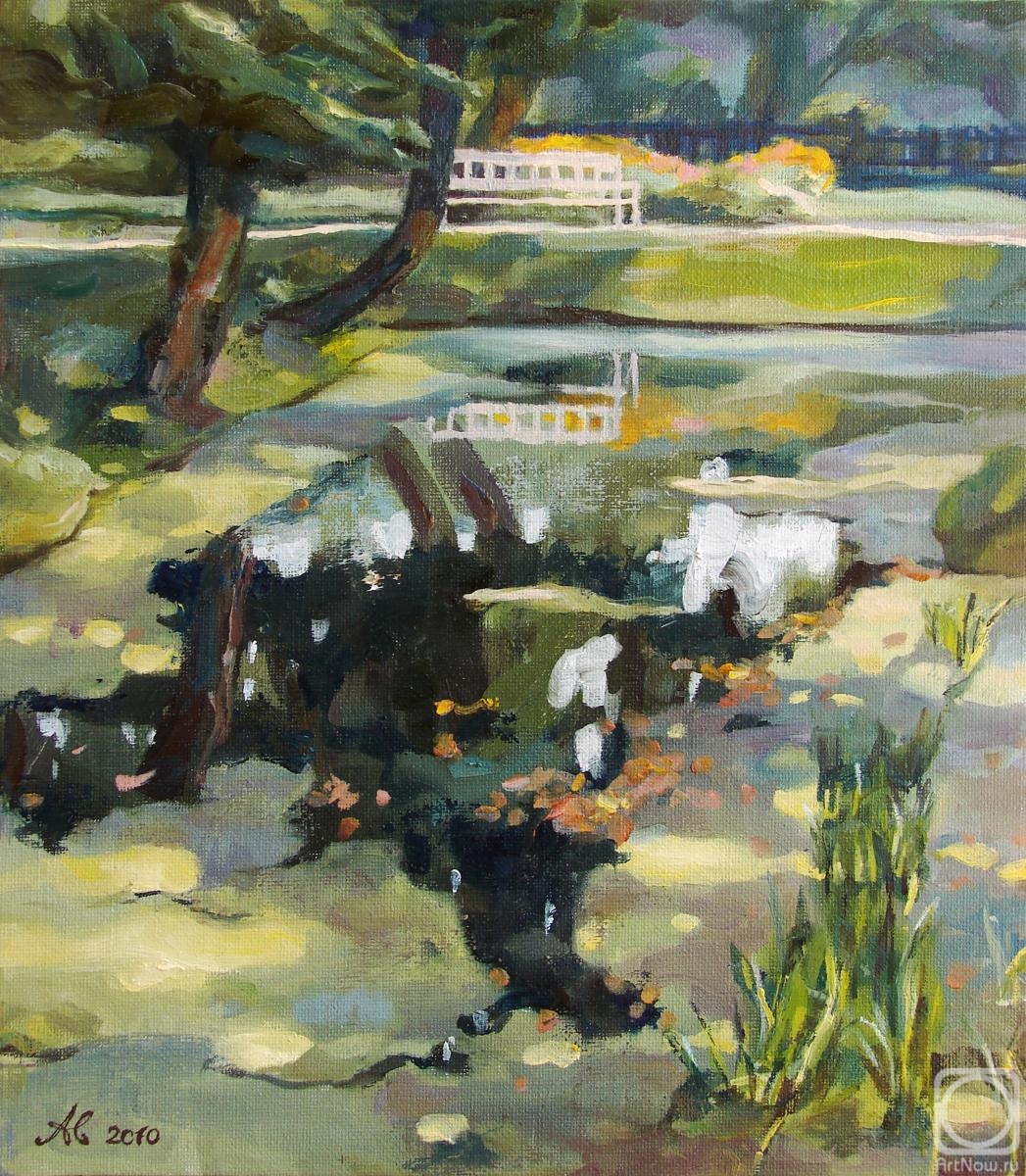 Alferonok Victoria. The old pond in Zdravnevo