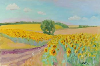 Sunflower fields. Yavisheva Tatiana