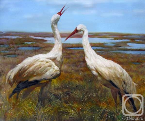 Zhukoff Fedor. Siberian Cranes