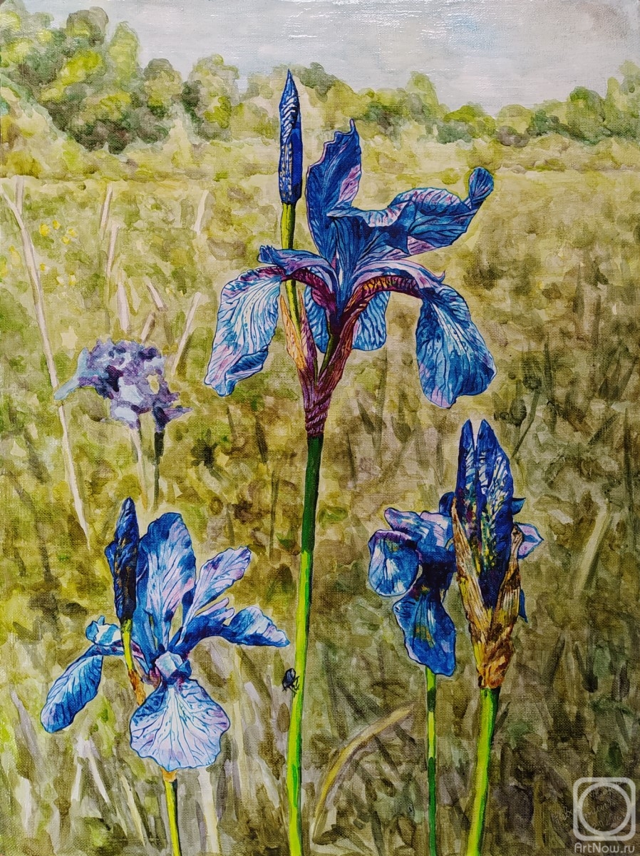 Картина маслом на холсте. Невский Кирилл. Ирисы