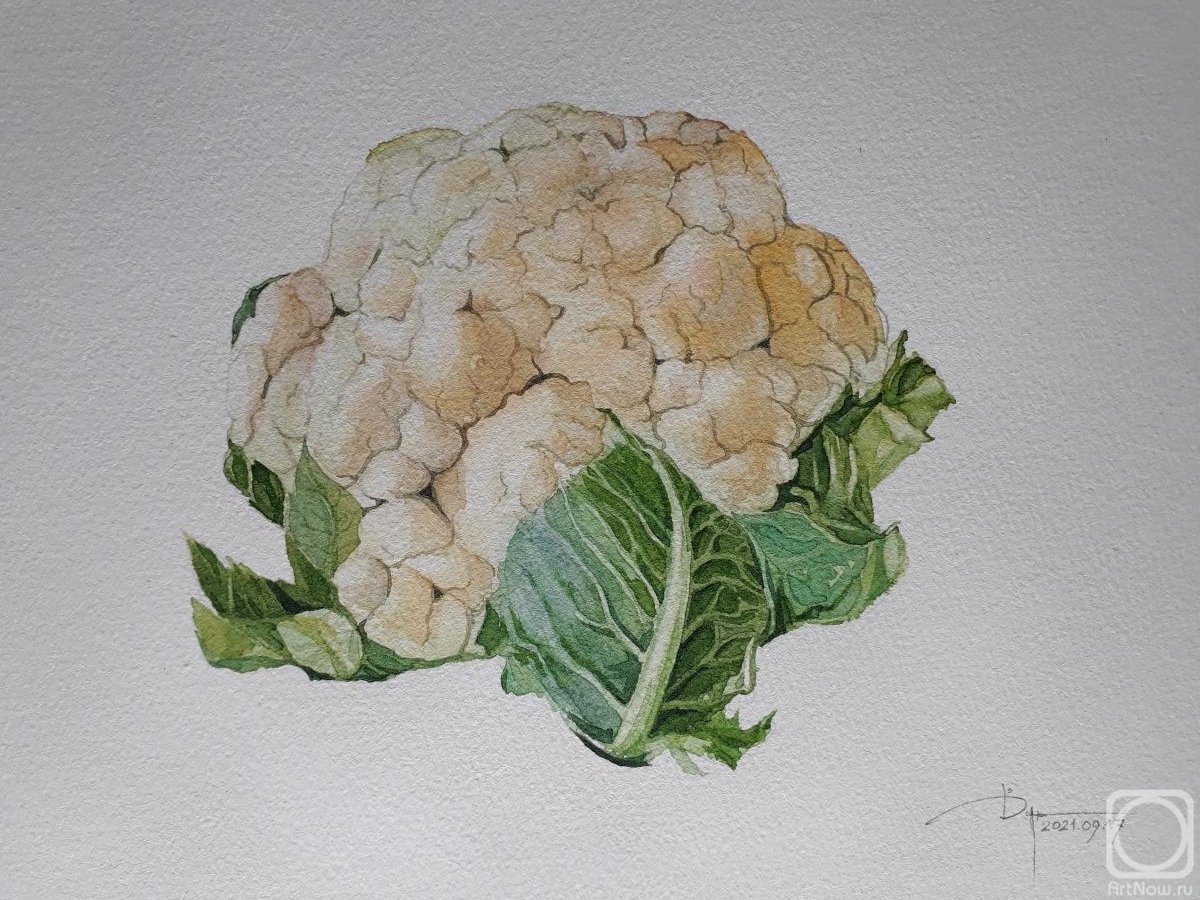 Durandin Viktor. Cauliflower