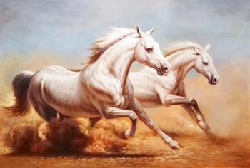 White horses. Smorodinov Ruslan