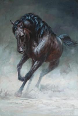 Horse. Bruno Augusto