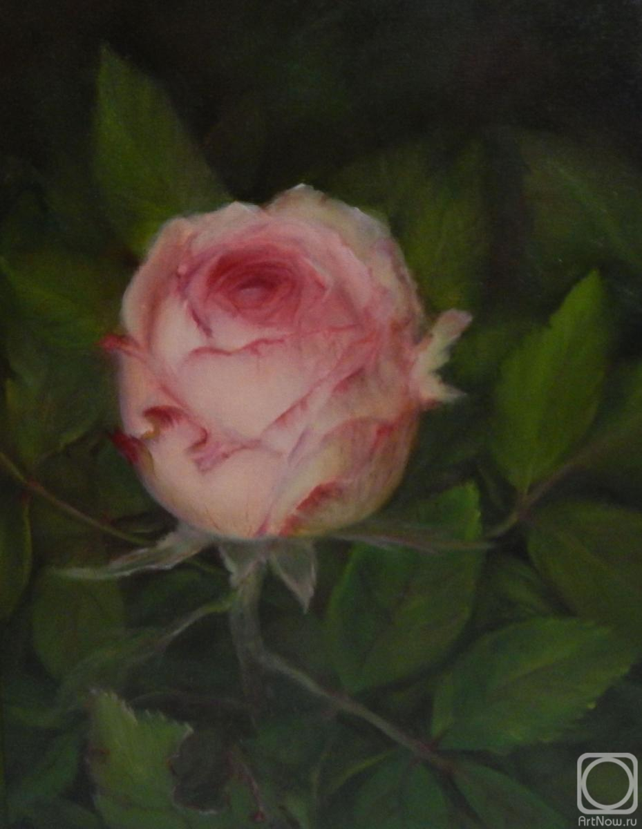 Fomina Lyudmila. Rose in the garden