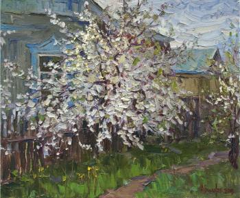 Flowering time. Vikov Andrej