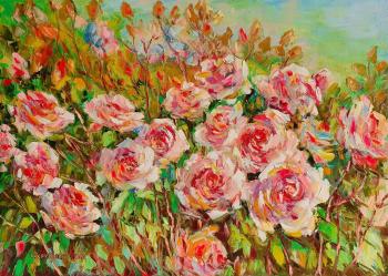 The rose bush has blossomed. Kruglova Svetlana