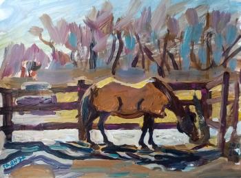 Pony in the paddock, March day. Dobrovolskaya Gayane