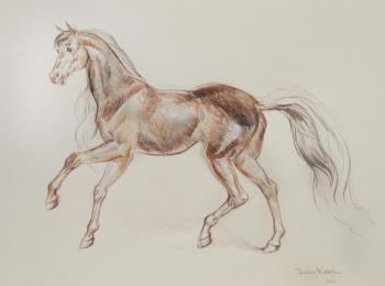 Horse. Kostylev Dmitry
