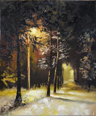 Winter night alley. Stolyarov Vadim