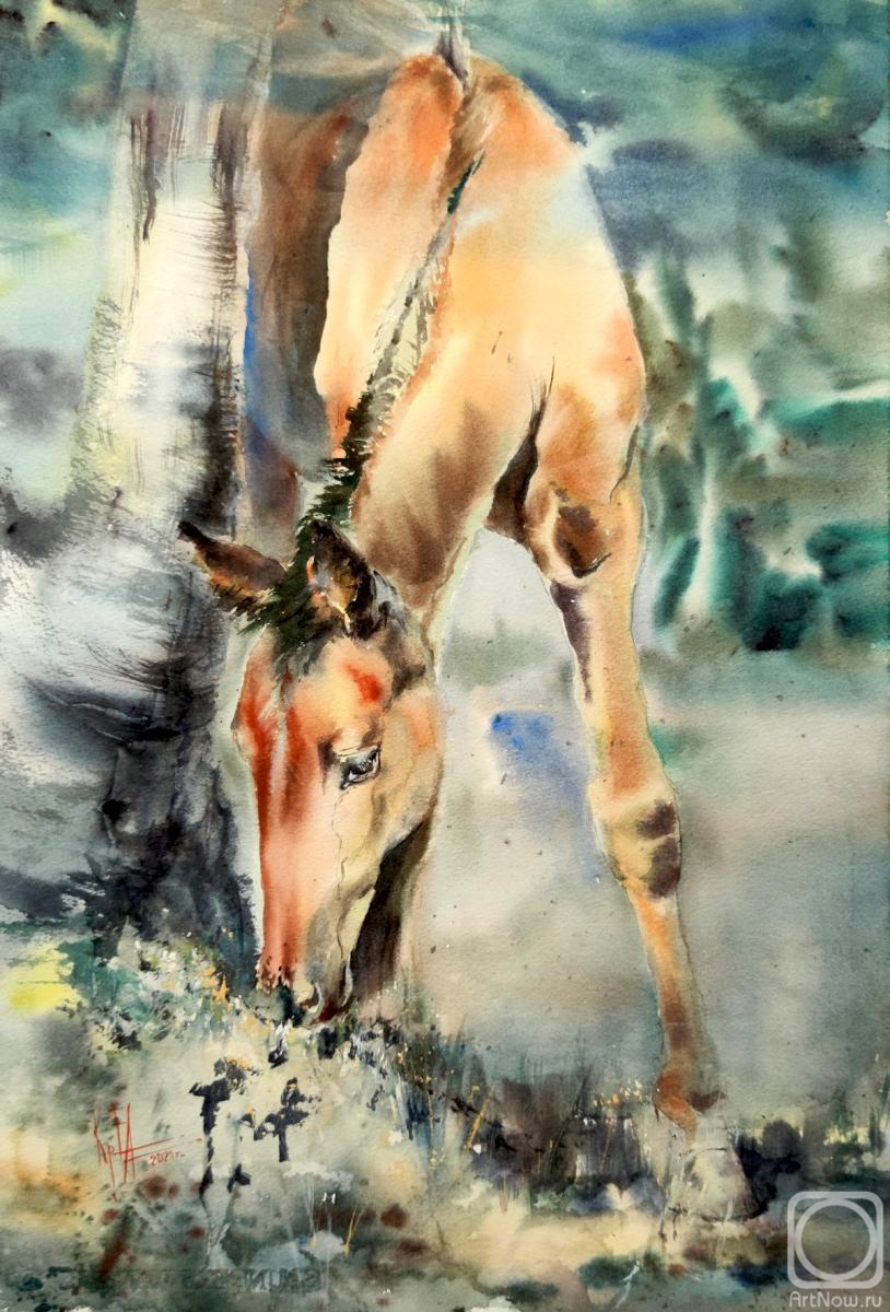 Krivoruchenko Elena. Sunny foal