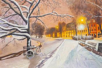 Night, street, lamp... Walks in winter Moscow. Romm Alexandr