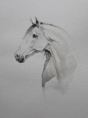White horse. Durandin Viktor