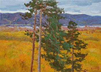 Autumn pines (). Panov Igor