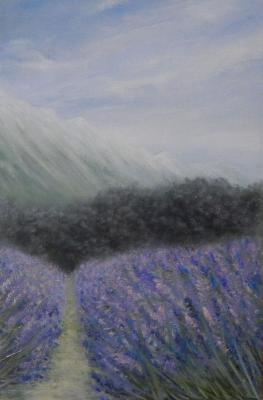 Rows of lavender. Fomina Lyudmila