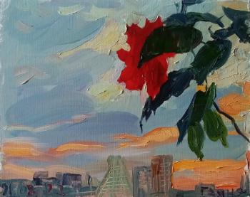 Hibiscus again, balcony, sunset