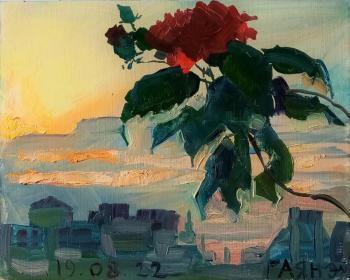 Another balcony, sunset, hibiscus
