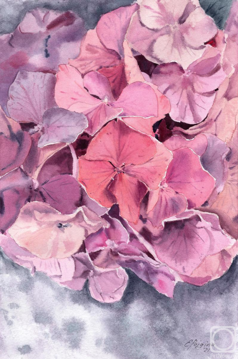 Картина. Пойгина Елена. Розовая гортензия
