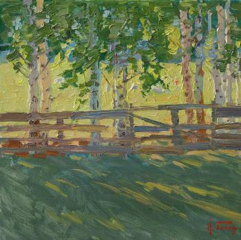 Birch fence (). Panov Igor