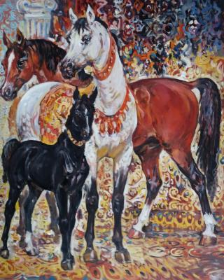Arab, horse, foal, maternity