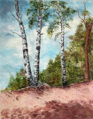 Birches on the Slope. Volosov Vladmir