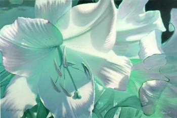 Lily "Emerald smell". Grechina Anna