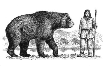 Comparative sizes of a short-faced bear and a human.