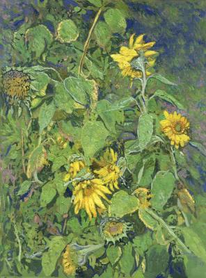 Sunflowers (). Kozhin Simon