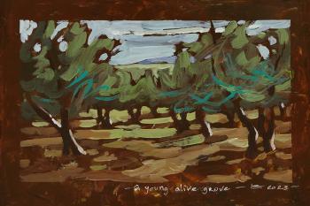 Young olive grove.