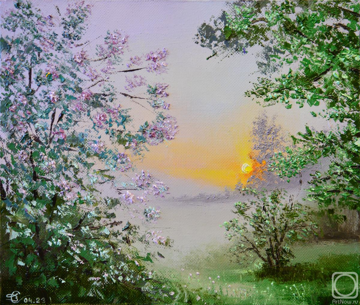 Stolyarov Vadim. Blooming sunset